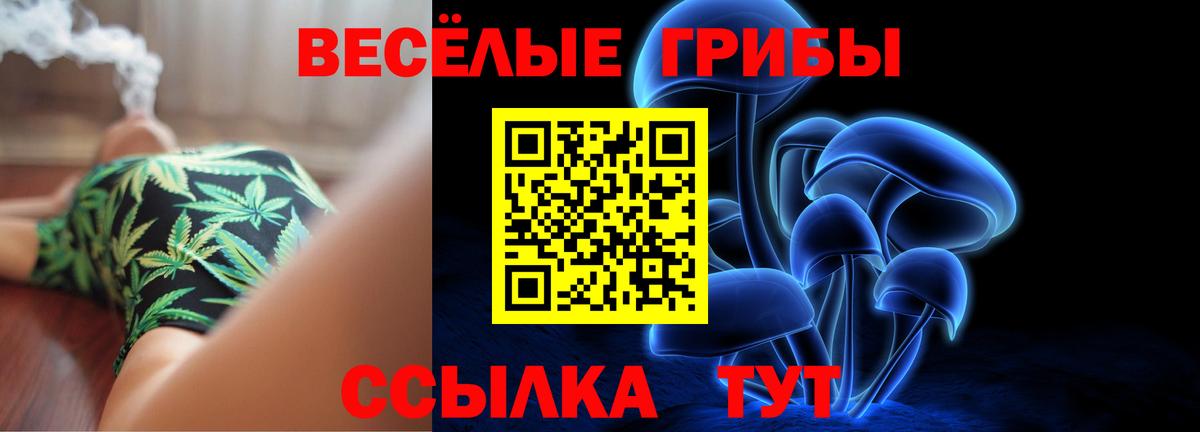 Губкин  как найти закладки  Псилоцибиновые грибы мухоморы  Вход с VPN  Псилоцибиновые грибы Psilocybe 